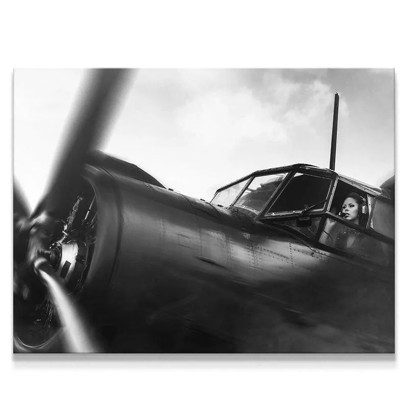 American Aviator