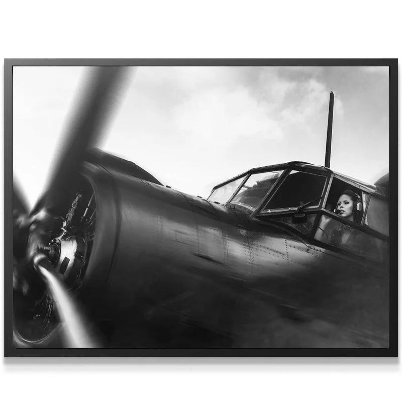 American Aviator