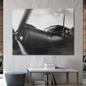 American Aviator