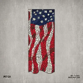 American Flag v.Mega Patch